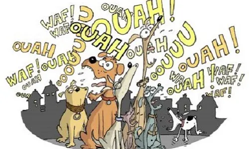 PROPRIÉTAIRES ANIMAUX