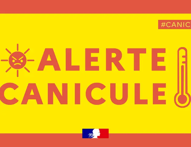 VAGUE DE CHALEUR : LES BONS GESTE A ADOPTER