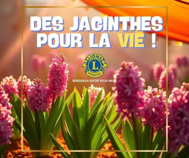 🌸 Des Jacinthes pour la Vie 🌸