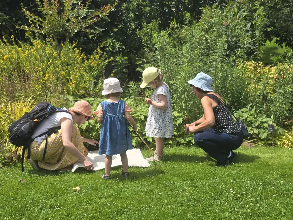 Actualités - Animation familiale « Petites bêtes, amies du jardinier » - Châtillon sur Colmont