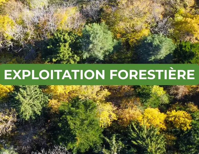 EXPLOITATION FORESTIERE