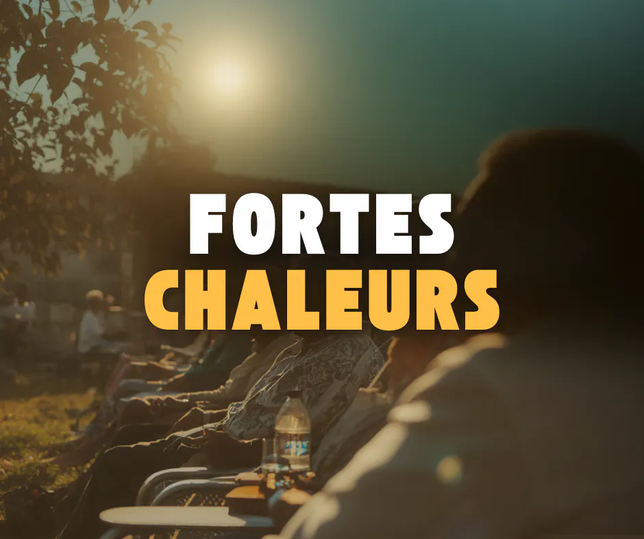 Fortes chaleurs : adoptons les bons réflexes - Ville de Chatou