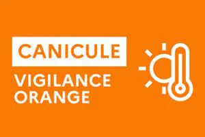 Alerte vigilance orange canicule