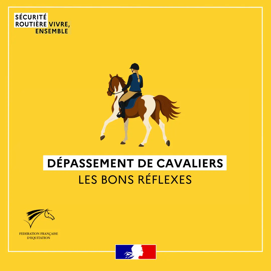Sécurité routière à cheval : adoptez les bons réflexes 🐴🚦