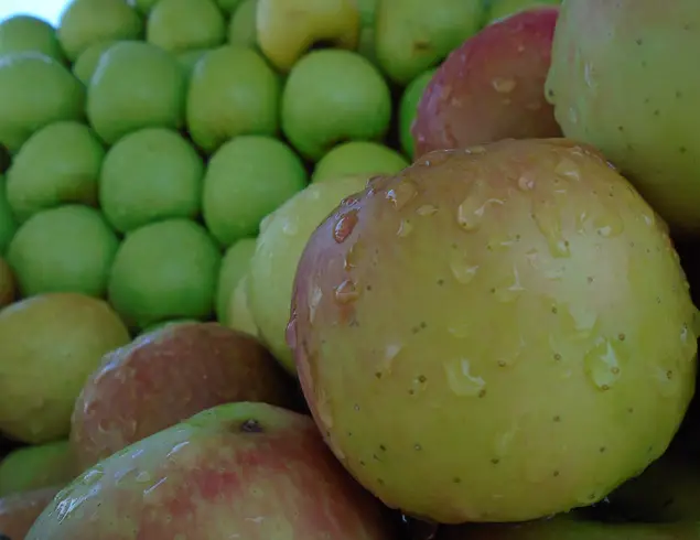 Fête de la pomme : réservez votre cagette avant le 30 septembre