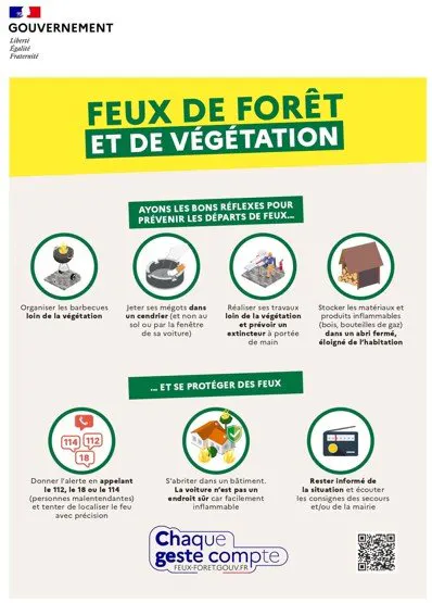 Feux de forêt