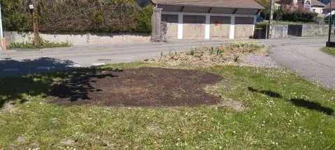 Embellissement de notre commune 🌸