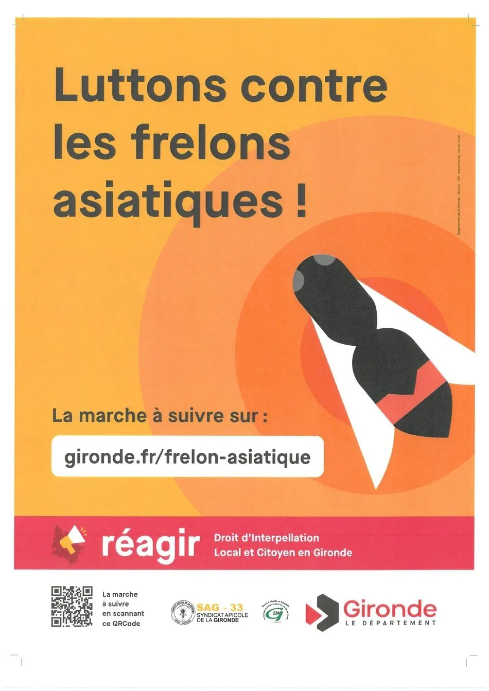 Frelons Asiatiques : le piégeage c'est maintenant !