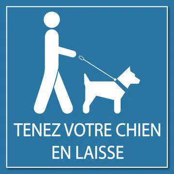 OBLIGATION DE TENUE DES CHIENS EN LAISSE DANS LE BOURG
