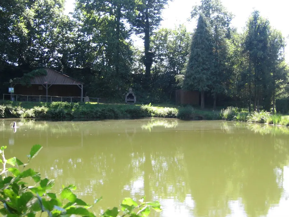 PECHE ETANG DE LA GRAFFARDIERE