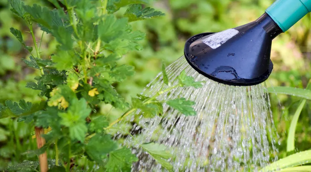 Quelles sont les mesures de restriction des usages de l’eau dans ma commune ?