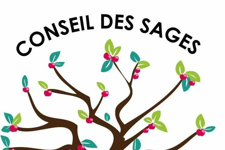Conseil des sages