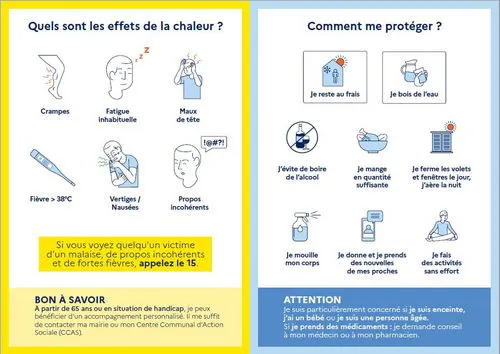 Vague de chaleur et feux de forêts : adoptez les bons réflexes