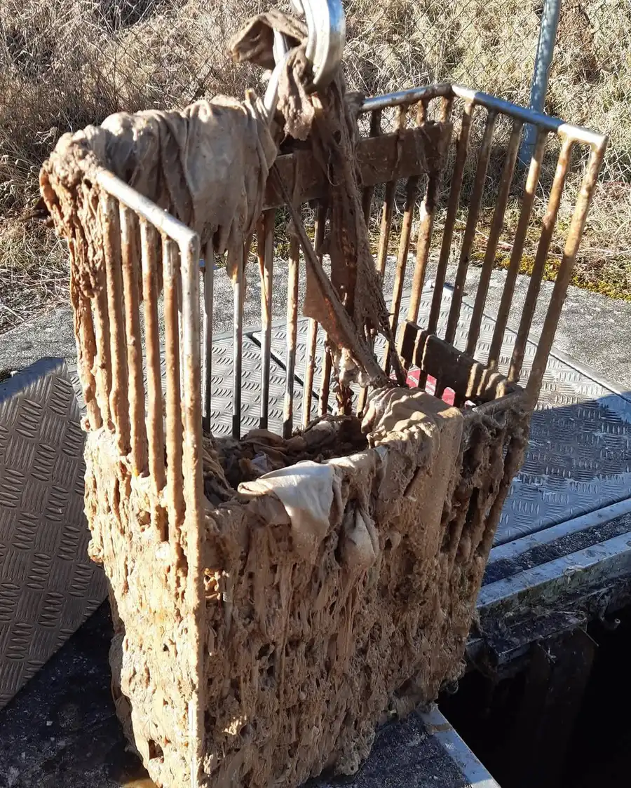 Déversement  massif de lingettes et autres déchets dans le réseau d'eaux usées.