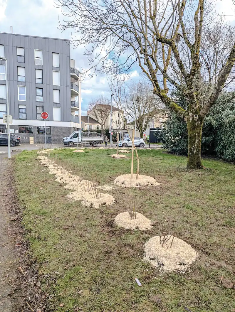 Une carte pour profiter des arbres fruitiers