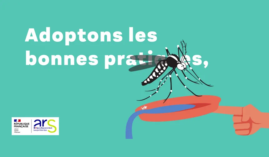 Le moustique tigre est de retour: agissez maintenant !