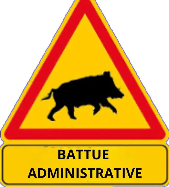 Autorisation individuelle de tir anticipé du sanglier en battue.