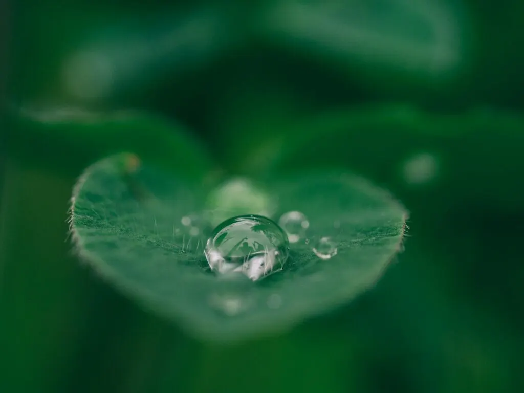 Restrictions sur les usages de l’eau