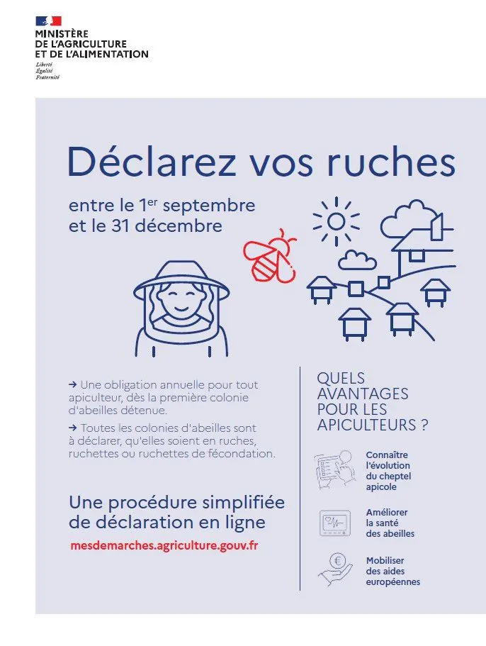 Campagne nationale de déclaration des ruches