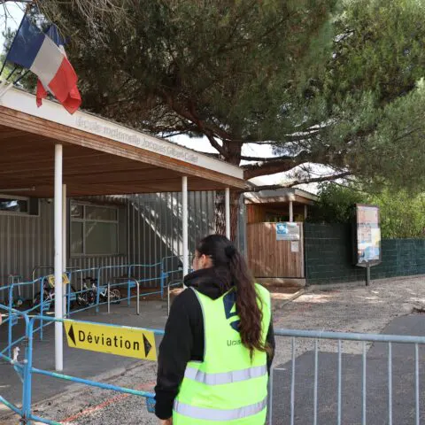 Des arbres préservés - Chevilly-Larue