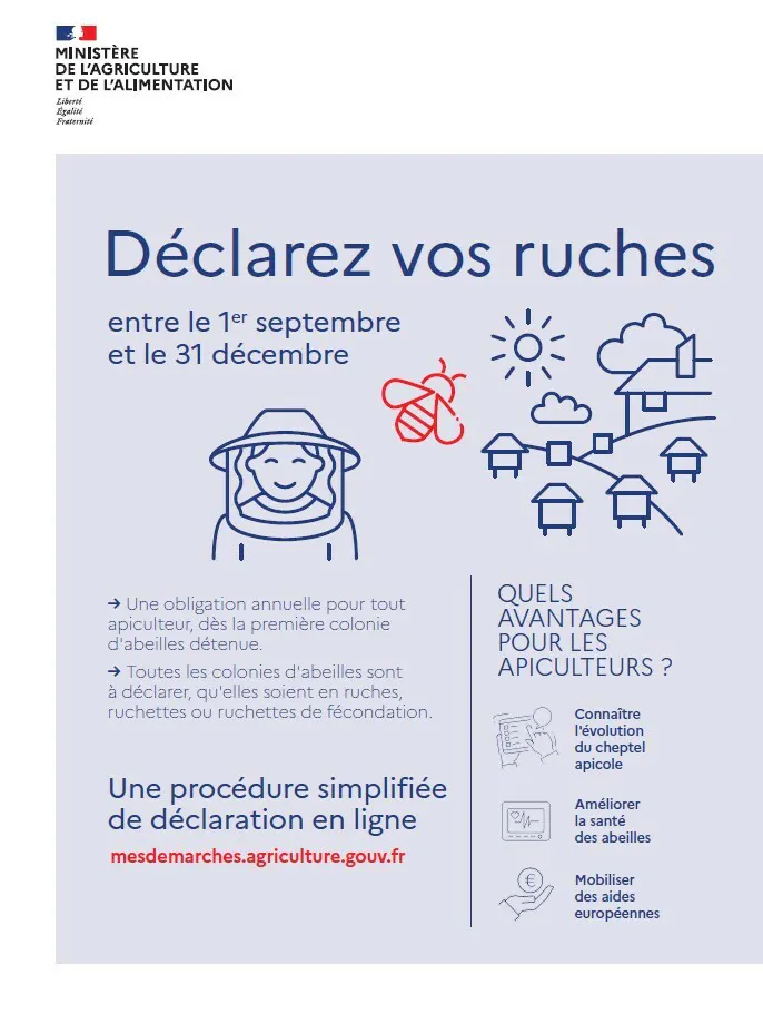 C'est le moment de déclarer vos ruches ! 🐝