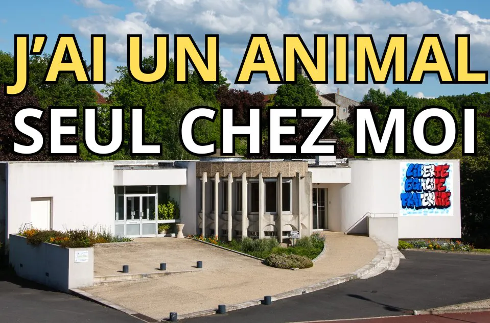 🐾 Carte « Je protège mon animal »